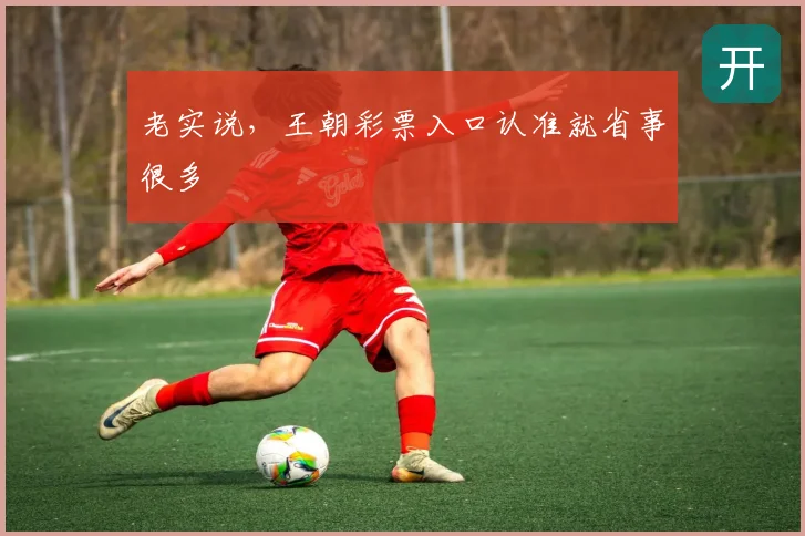 老实说，王朝彩票入口认准就省事很多
